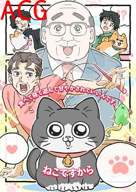 转生成猫的大叔