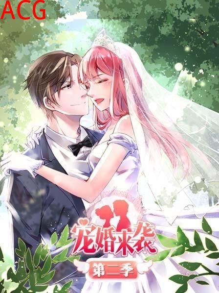 宠婚来袭第二季