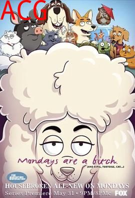 宠宝话疗团第一季