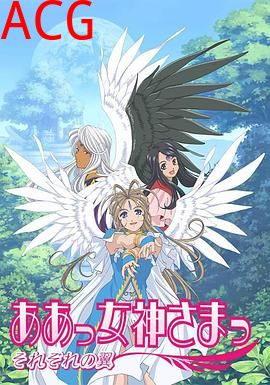 我的女神第二季缤纷之翼