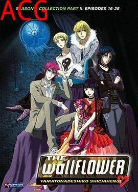 完美小姐进化论