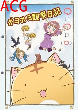 嘟嘟猫观察日记