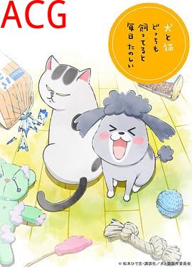 养狗与猫每天都很开心