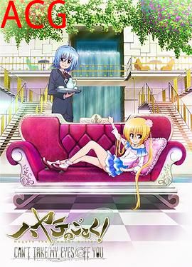 旋风管家第三季