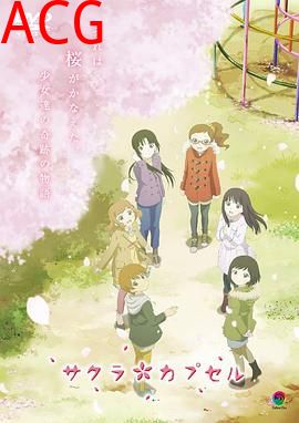 樱花树下的时间胶囊