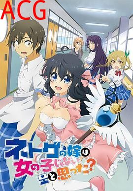 线上游戏的老婆不可能是女生？