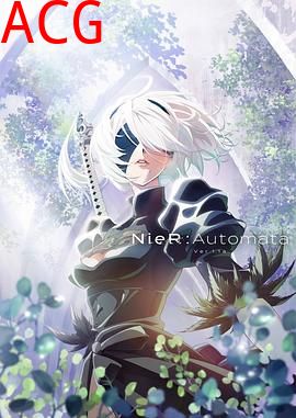 尼尔：自动人形Ver1.1a