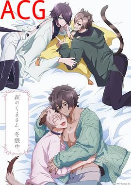 森林里的熊先生冬眠中