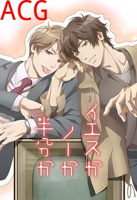 爱情可以分割吗