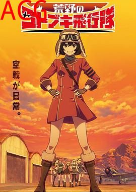 荒野的寿飞行队